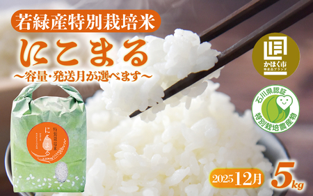 [先行予約 令和7年産]若緑産 特別栽培米「にこまる」5kg[2025年12月配送]| 令和7年産 5キロ