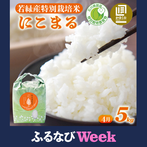 【ふるなびWEEK対象】【令和7年産】 にこまる 5kg 【4月配送】 |  にこまる 白米