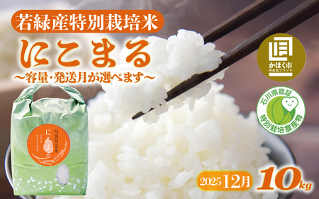 [先行予約 令和7年産]若緑産 特別栽培米「にこまる」10kg[2025年12月配送]| 令和7年産 10キロ