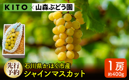 [先行予約 令和8年産]「シャインマスカット」400g×1房 石川県かほく市産[2026年8月下旬より順次発送予定]| 果物 ぶどう