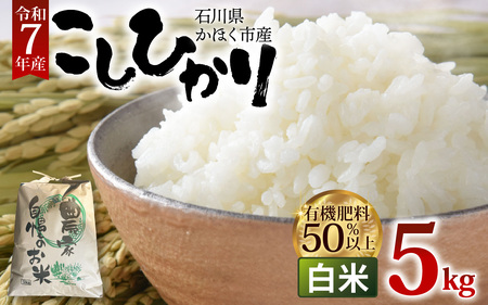 [令和7年産]こしひかり 白米 5kg | コシヒカリ