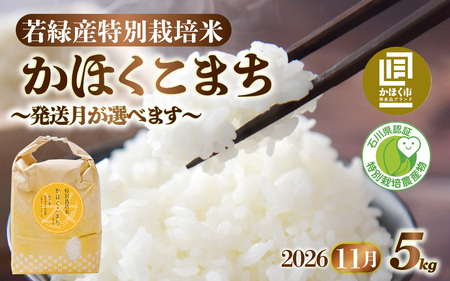 [令和8年産] かほくこまち 5kg [2026年11月配送] | お米 米 かほくこまち