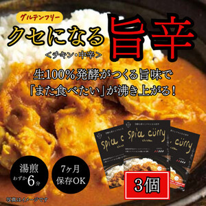 発酵スパイスカレー3個 ★5種のスパイスと白山麓のW発酵 芳醇な香り&クセになる旨辛 グルテンフリー_惣菜・加工品 カレー _[配送不可地域:離島]