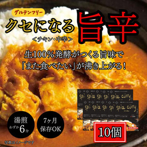発酵スパイスカレー10個★5種のスパイスと白山麓のW発酵 芳醇な香り＆クセになる旨辛 グルテンフリー_惣菜・加工品 カレー  _【配送不可地域：離島】【1376659】