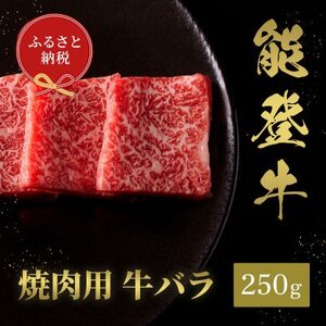 [和牛セレブ]能登牛 牛バラ 焼肉 250g_肉 焼肉 牛肉 やきにく ヤキニク バーベキュー_[配送不可地域:離島]