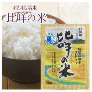 特別栽培米 比咩の米(白山麓コシヒカリ)精米5kg