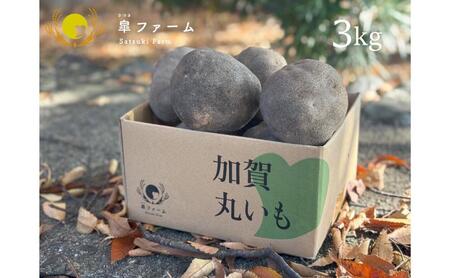 能美市特産品加賀丸いも 3kg 山芋 やまいも 石川県 お取り寄せ