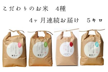 [4カ月連続でお届け]北本農場 「こだわりのお米」 令和6年度産 精米 5kg