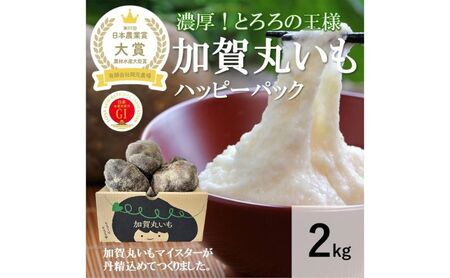 [日本農業賞大賞]加賀丸いもハッピーパック2kg(3〜6個)