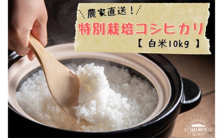 特別栽培コシヒカリ　白米10kg（5kg×2） お米 