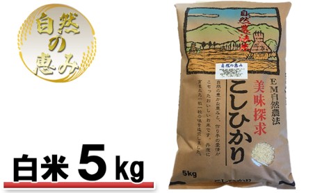 自然農法米こしひかり「自然の恵み」白米5kg[特別栽培米]