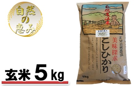 自然農法米こしひかり「自然の恵み」玄米5kg[特別栽培米]