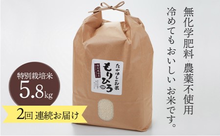 石川県産特別栽培米コシヒカリ「もりひろ」5.8kg2回連続お届け