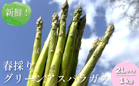 ys\zVNIt̂ O[AXpKX2LTCY1kg R_