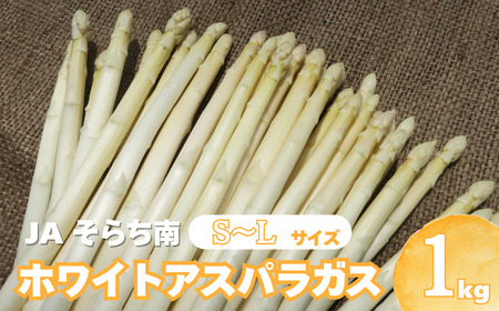 JAそらち南の味覚「ホワイトアスパラガス」S〜L 1kg前後