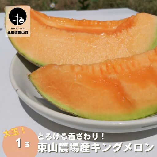 【大玉】とろける舌触り！東山農場産キングメロン 1玉