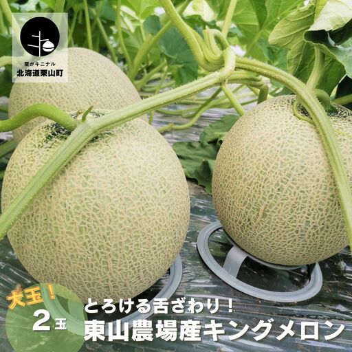【大玉】とろける舌触り！東山農場産キングメロン 2玉
