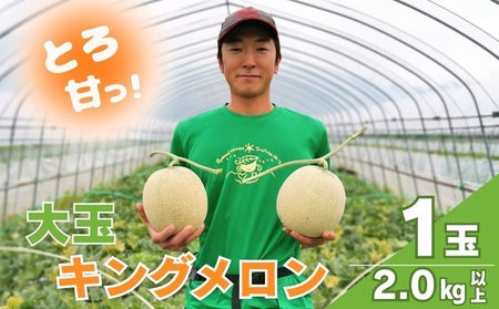 [先行予約][大玉]とろける舌触り!東山農場産キングメロン 1玉