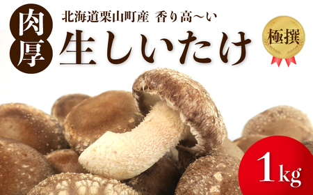 [贈答用]北海道の自然で育った極撰肉厚しいたけ