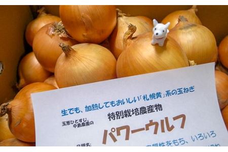 「玉葱ひとすじ。中島農園」札幌黄系玉葱5㎏ 