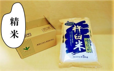 [精米6ヶ月定期便]特別栽培「きなうす米」ゆめぴりか5kg×6回