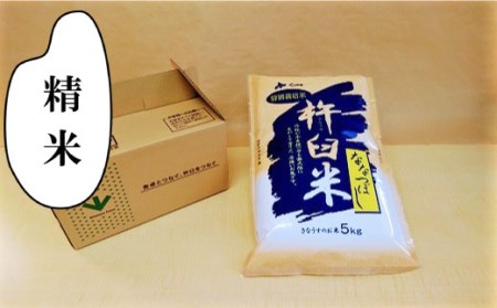 y12ցzʍ͔|uȂāvȂȂڂ5kg×12