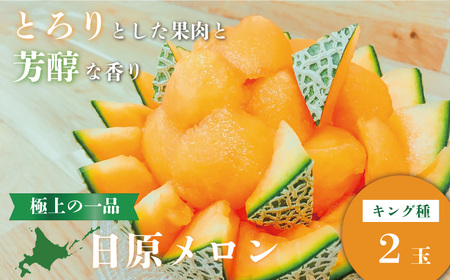 極上の一品「日原メロン（キング種）」（1.6kg相当×2玉）