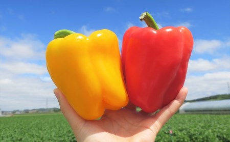 ys\zkCIRY yňẴpvJ 6