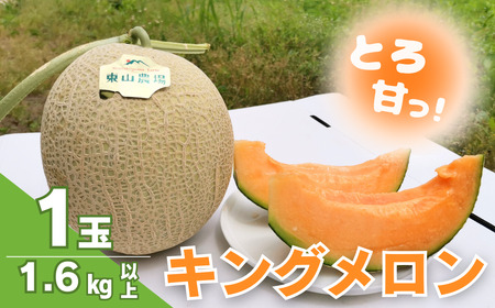 [先行予約]とろける舌触り!北海道栗山町東山農場産キングメロン 1玉