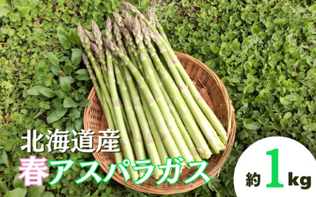 北海道栗山町産 春アスパラ 1kg程度 池田農林