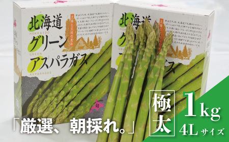 北海道産 春採り 極太グリーンアスパラガス4Lサイズ 1kg おがファーム