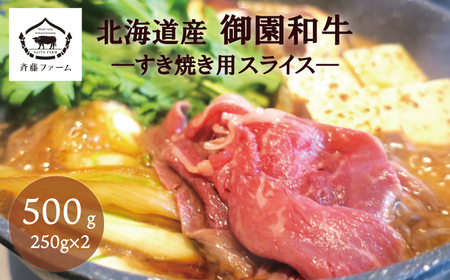 Y 䉀a ĂpXCX 500g