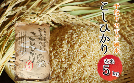 [令和5年度産]手取りのすず風米こしひかり 玄米5kg