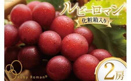 【期間限定発送】ぶどう ルビーロマン 2房 [JA石川かほく 石川県 津幡町 28ab0002] ブドウ 葡萄 フルーツ 果物 くだもの デザート 手土産 先行受付 冷蔵 果実