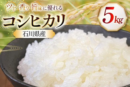 米 令和7年産 石川県産 コシヒカリ 5kg x 1袋 [農事組合法人かさの郷 石川県 津幡町 tb17bgj610003]