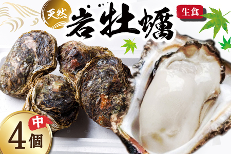 【期間限定発送】 ヨコタ礁 天然 岩牡蠣 生食用 中4個 [望海 石川県 志賀町 BX4017] 岩牡蠣 岩ガキ 岩がき 牡蠣 カキ