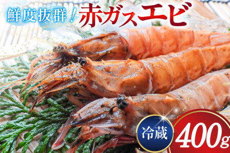 超甘!赤ガスエビ 冷蔵 400g [小川水産 石川県 志賀町 CM6002]