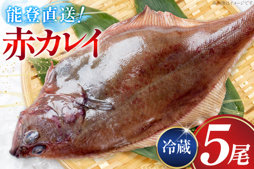 カレイ 能登の赤カレイ 5尾 (1尾200〜300g) 計1kg程度 [小川水産 石川県 志賀町 sk17bdm840009]