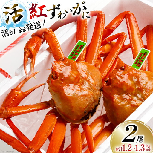 [能登半島 漁協直送] 活 紅ズワイガニ 2尾(中サイズ) 計1.2〜1.3kg前後 [JF西海 石川県 志賀町 AM4217]