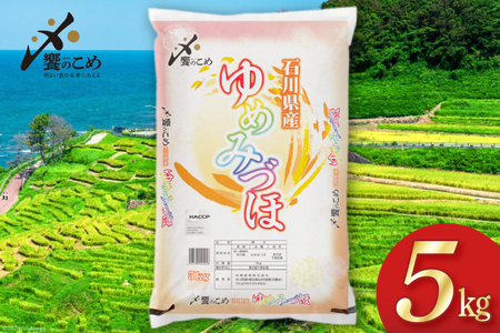 [期間限定発送] 米 令和6年 ゆめみづほ 精米 5kg [中橋商事 石川県 宝達志水町 38600958] お米 コメ 白米 ごはん 美味しい 石川