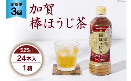 3回 定期便 お茶 ペットボトル 加賀 棒ほうじ茶 525ml 24本 1箱 総計72本 [油谷製茶 石川県 宝達志水町 38600780] ほうじ茶 おちゃ 茶 ちゃ 24本 500ml 以上 飲料 ドリンク ソフトドリンク 常温 保存 備蓄 常備品 災害 非常用