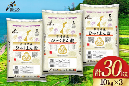 yԌ蔭z  ߘa7N ЂႭ܂  10kg ×3 v 30kg [ ΐ쌧 Bu 38601203]