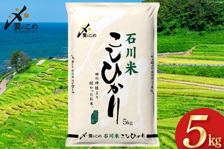 米 令和6年 石川県産 石川米こしひかり[穂立]5kg [中橋商事 饗のこめ (あえのこめ) 石川県 宝達志水町 38601197] コシヒカリ お米 コメ 白米 精米 おこめ こめ 5キロ ごはん ご飯 国産