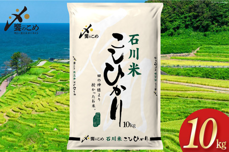 米 令和6年 石川県産 石川米こしひかり[穂立]10kg [中橋商事 饗のこめ (あえのこめ) 石川県 宝達志水町 38601198] コシヒカリ お米 コメ 白米 精米 おこめ こめ 10キロ ごはん ご飯 国産