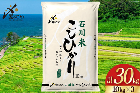 米 令和6年 石川県産 石川米こしひかり[穂立]30kg(10kg ×3袋)[中橋商事 饗のこめ (あえのこめ) 石川県 宝達志水町 38601200] コシヒカリ お米 コメ 白米 精米 おこめ こめ 30キロ ごはん ご飯 国産