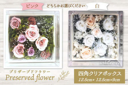 花 プリザーブドフラワー 四角クリアボックス [littleprincess 石川県 宝達志水町 38601236]