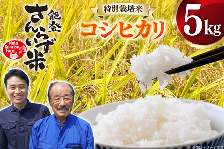 米 令和7年産 特別栽培米 コシヒカリ 5kg 白米 [合同会社NotoSunriseFarm 石川県 宝達志水町 38601324]