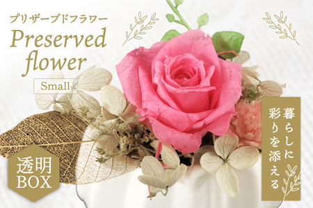 花 プリザーブドフラワー アレンジ スモール ばら1輪 紫陽花 など [littleprincess 石川県 宝達志水町 38601339]
