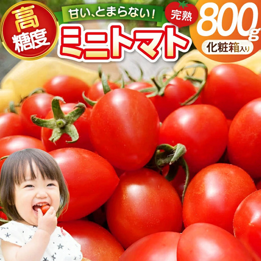 トマト 〜高糖度 しあわせのトマト〜 ミニトマト 800g 化粧箱入り 贈答用 [会宝産業株式会社 石川県 宝達志水町 38601354]