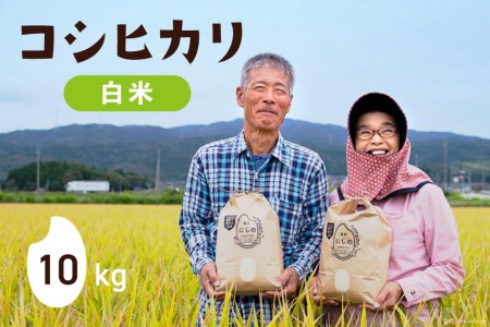令和5年 コシヒカリ 白米 10kg×1 [農家にしの 石川県 宝達志水町 38600572] 米 お米 ご飯 ごはん